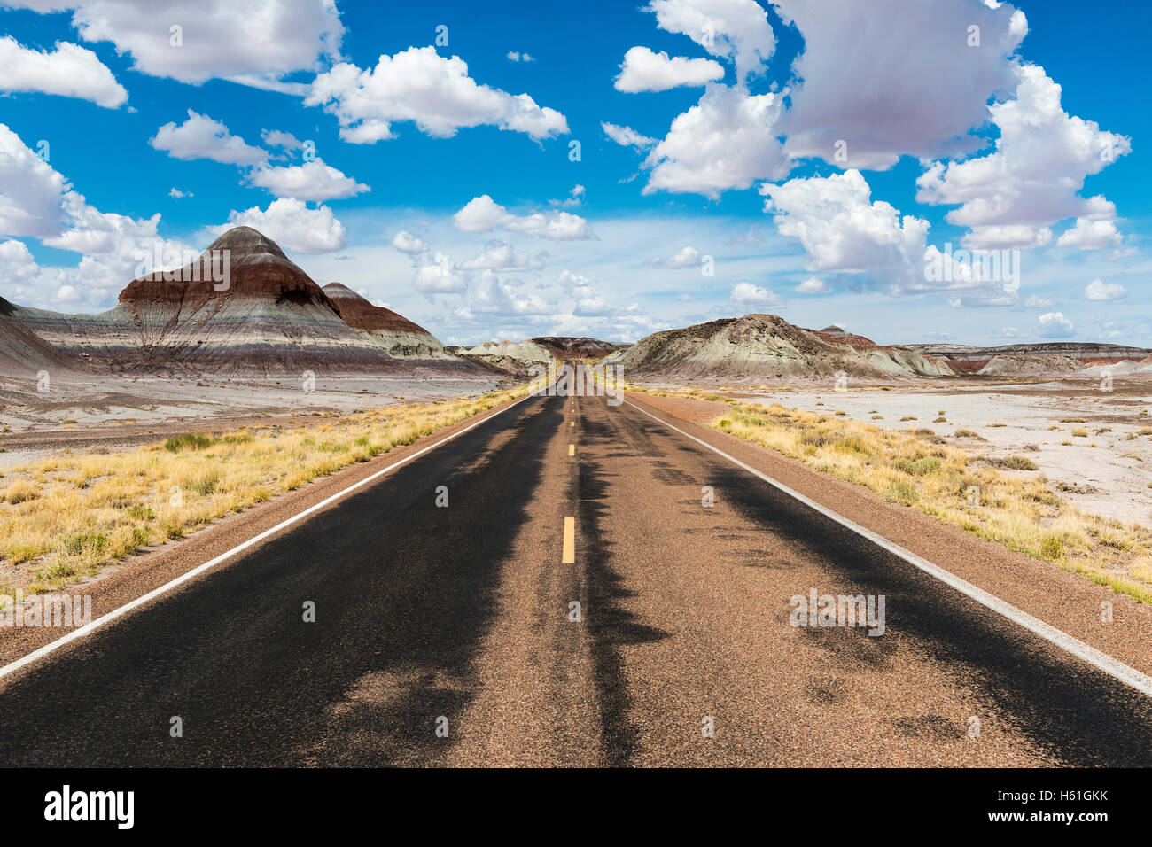 Leere Straße in der Wüste im Bundesstaat Arizona, USA; Konzept für Roadtrip und Reisen in Amerika Stockfoto