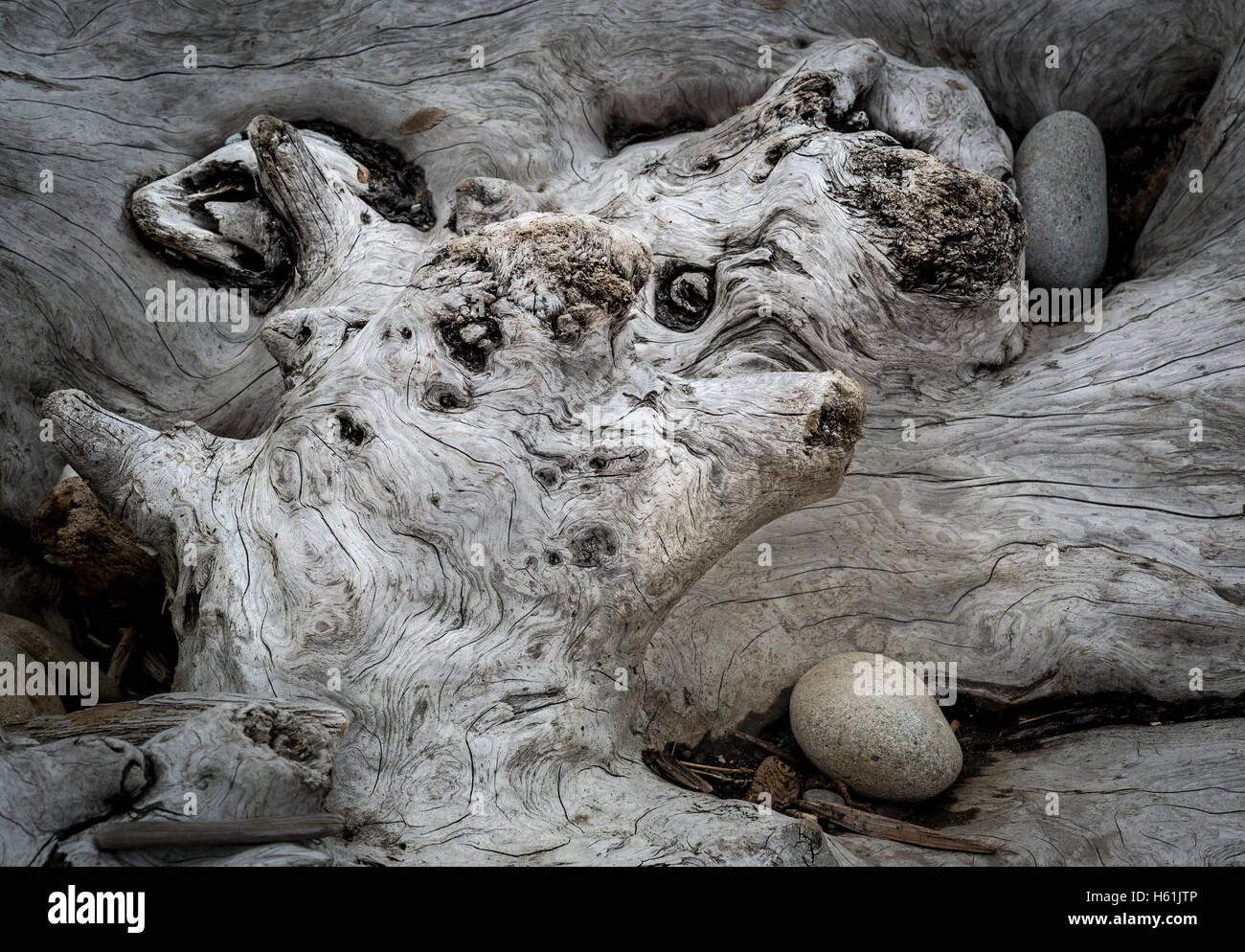KARALOCH RUBY BEACH OLYMPIC NATIONALPARK OLYMPIC PENINSULA WASHINGTON USA Stockfoto