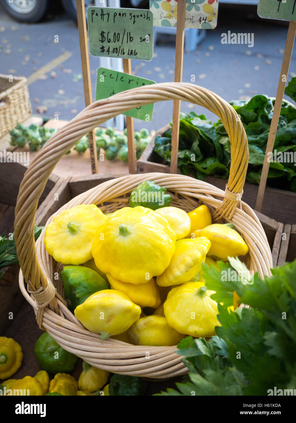 Pattypan Kürbisse zum Verkauf an die Stadt vermarkten (104 Street Market) in Edmonton, Alberta, Kanada. Stockfoto