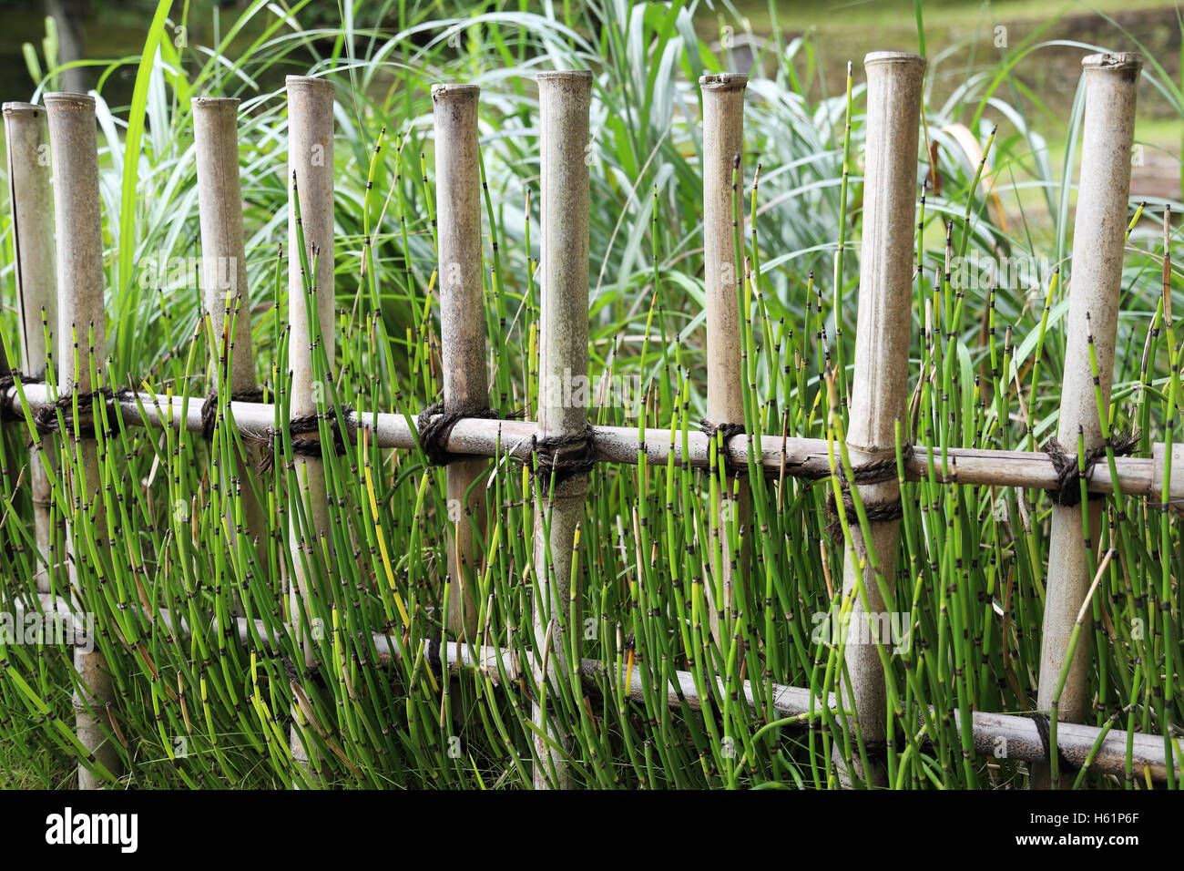 Traditionellen japanischen Bambuszaun umgeben durch hohe Gräser Stockfoto