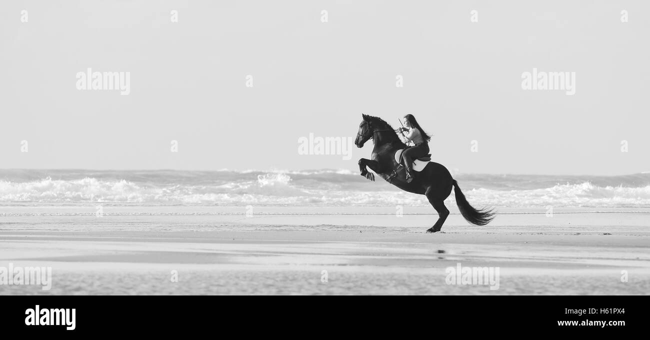 Streicheln und seinen Reiter Pferd hinten am Strand, Frankreich Stockfoto