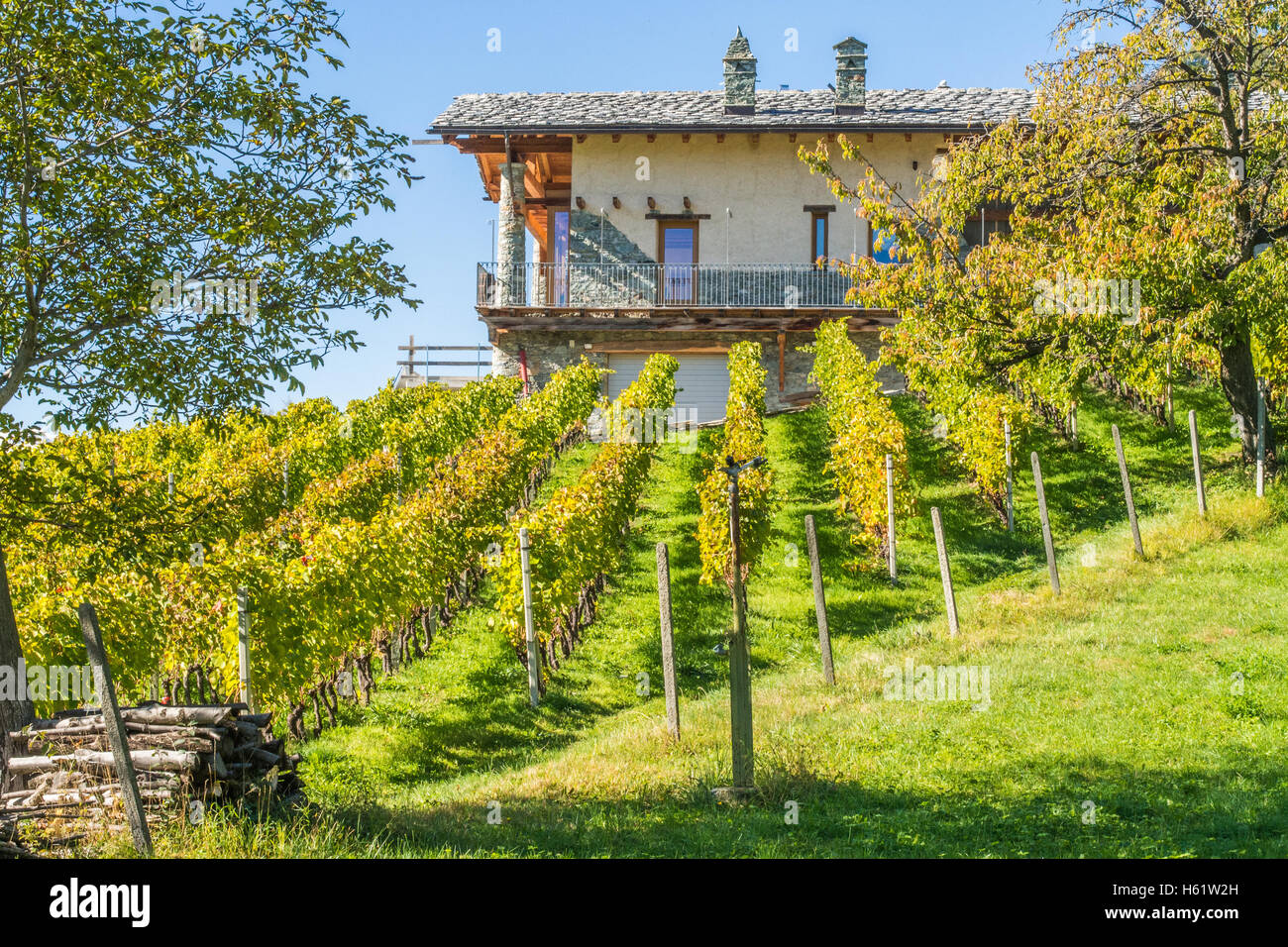 Les Granges Bio-Weingut Nus & Fenis, Aostatal, Italien. Stockfoto