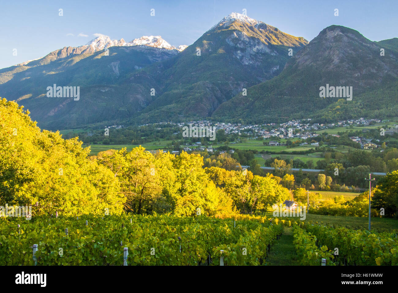 Blick vom Bio- und biodynamischen Weingut Les Granges bei Nus & Fenis, mit Blick auf Fenis, Region Aostatal, in Italien. Stockfoto