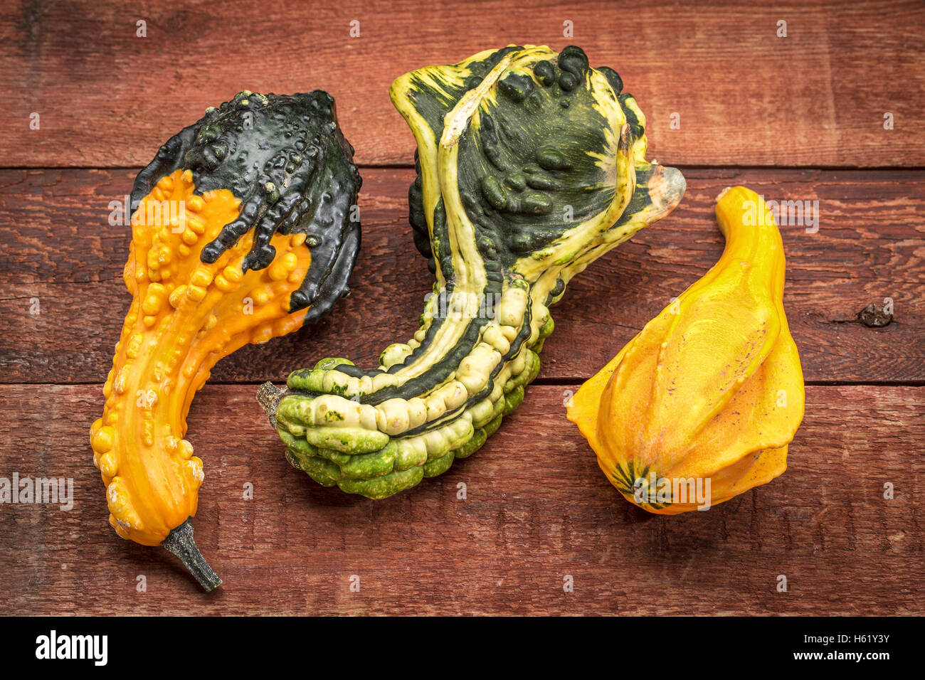 drei dekorative Kürbisse auf einem rustikalen rot lackierten Scheune Holz Stockfoto
