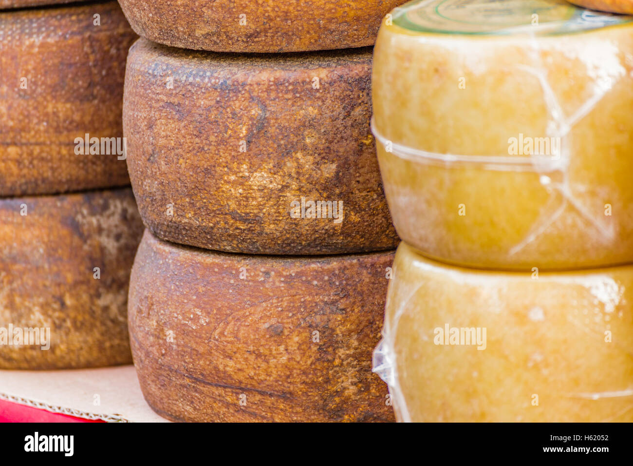 Formen der erfahrene sardischen Käse Stockfoto