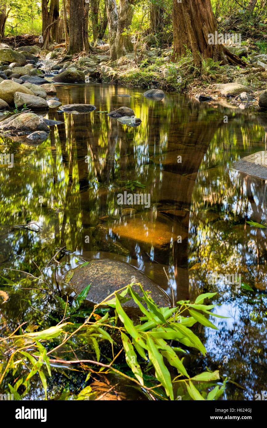 Eine sanfte Cedar Creek in der Nähe von Samford in Queensland, Australien Stockfoto Eine sanfte Cedar Creek in der Nähe von Samford in Queensland, Australien Stockfoto
