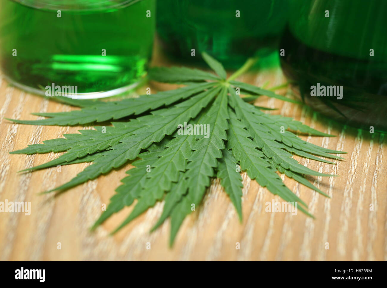 Cannabis lässt im Labor für Forschung Stockfoto