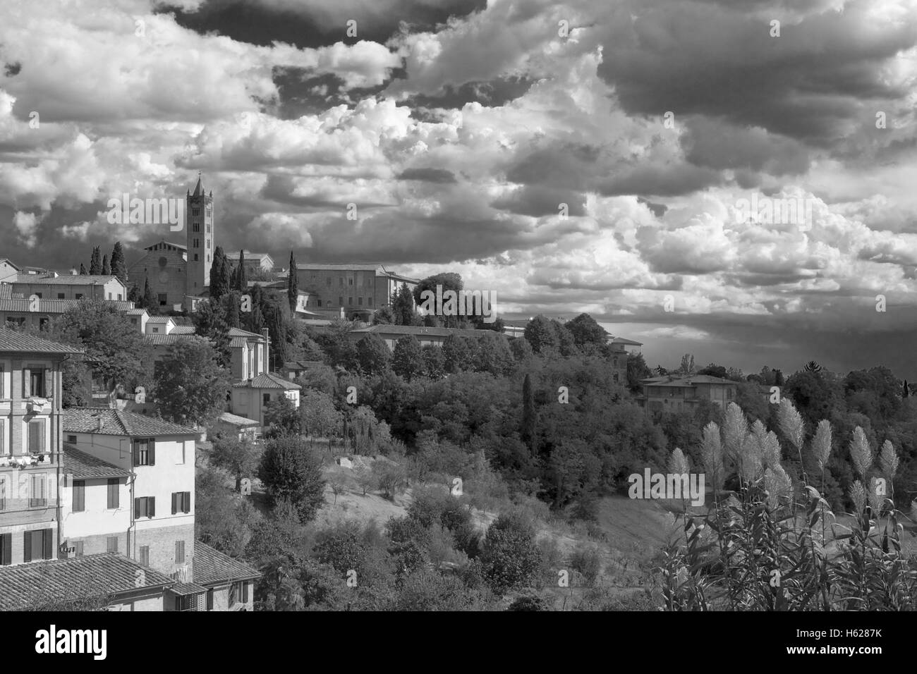 Der Turm von Santa Maria dei Servi in der Contrada di Valdimontone, von der Piazza del Mercato, Siena, Toskana, Italien Stockfoto