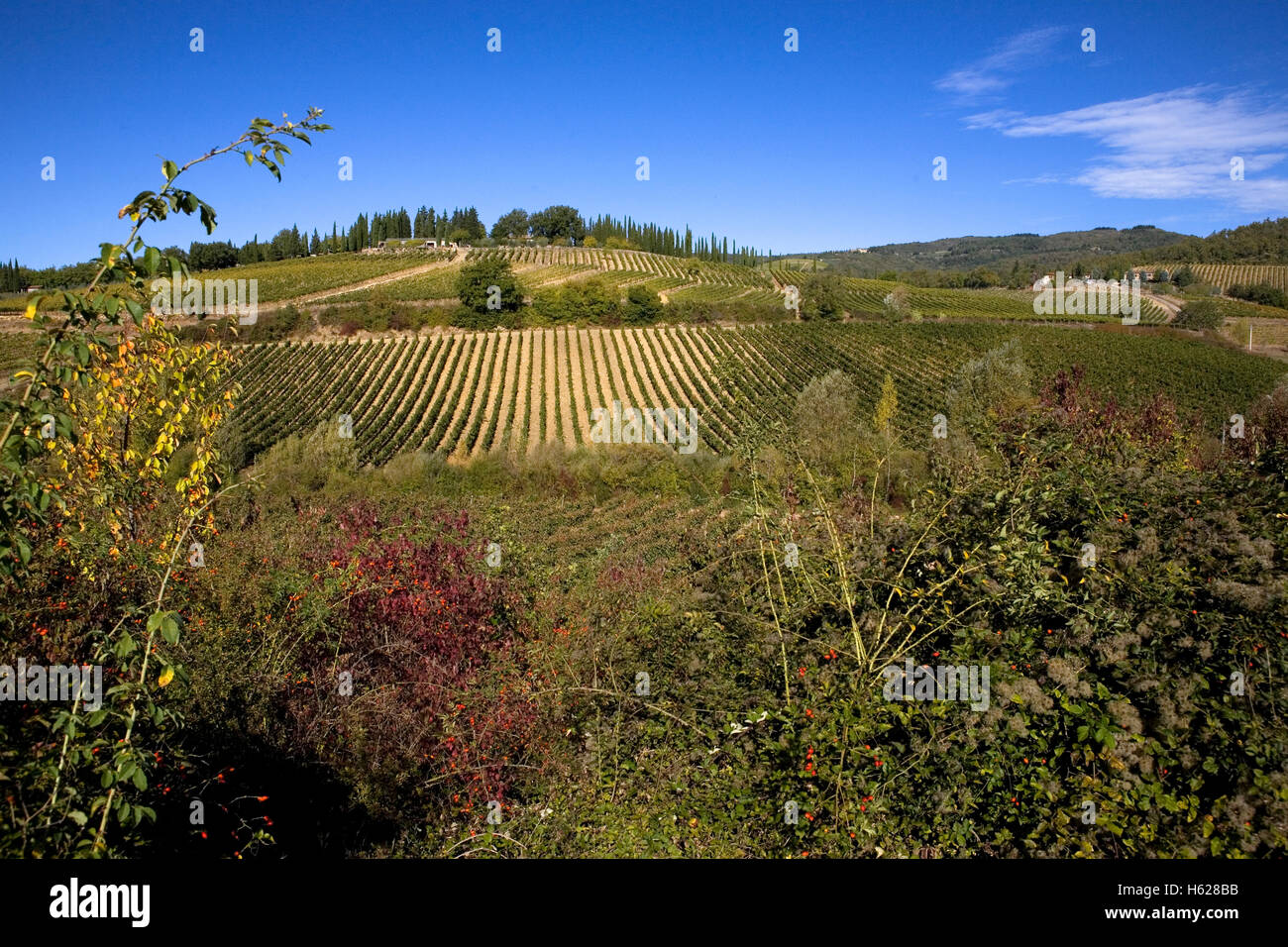 Montevertine Weingut in der Toskana in der Nähe von Radda in Chianti, Località Villa ein Radda, Provinz Siena, Italien Stockfoto