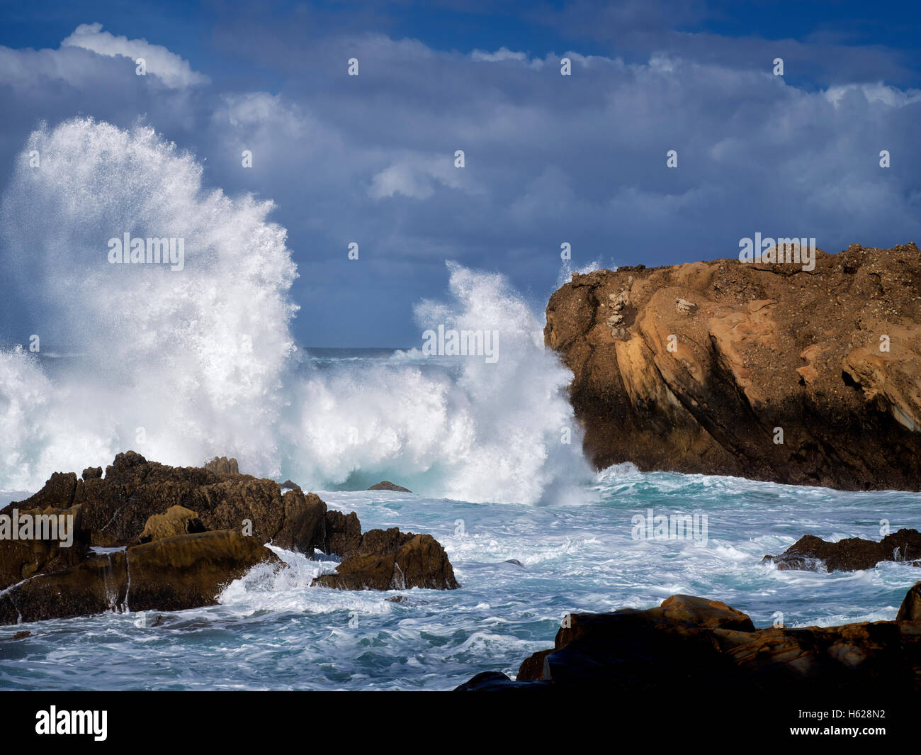 Küste mit brechenden Wellen. Point Lobos State Reserve. California Stockfoto