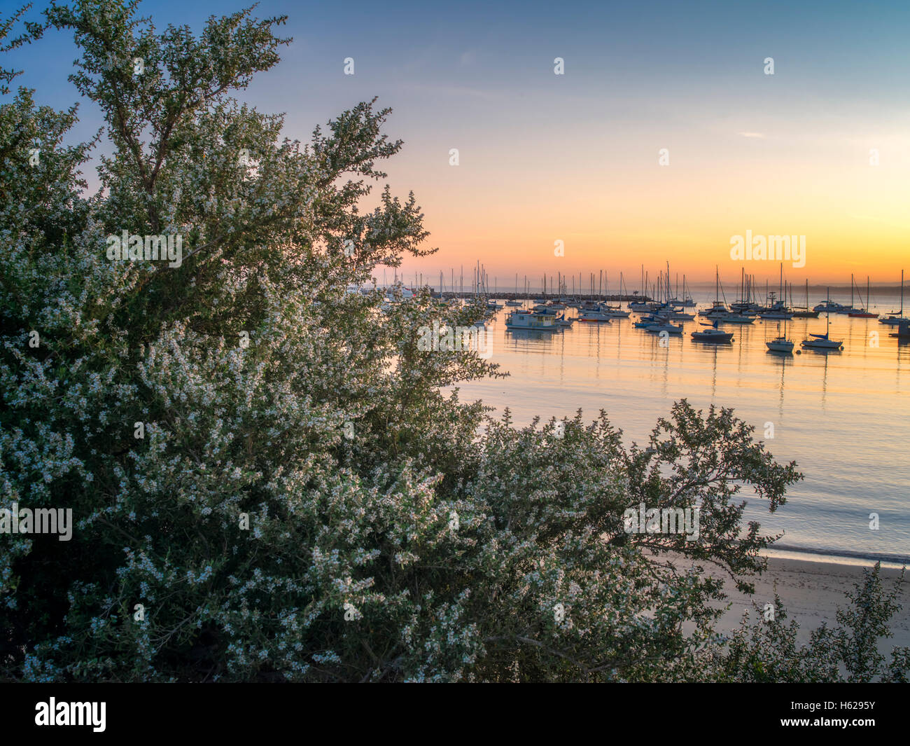 Monterey-Hafen und Marina mit Sonnenaufgang. Monterey, Kalifornien Stockfoto
