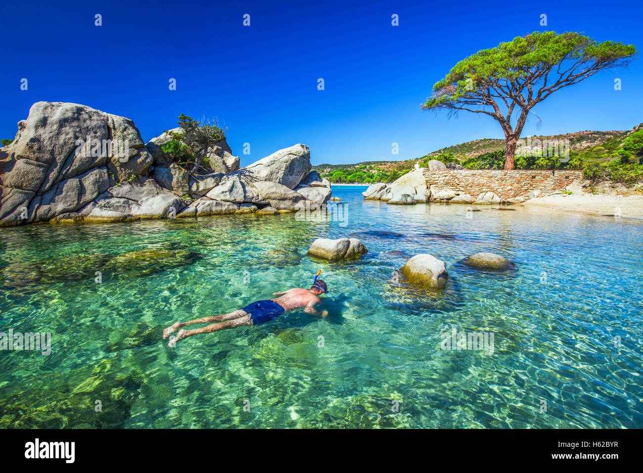 Junger attraktiver Mann Schnorcheln in grüne Lagune in der Nähe von berühmten Kiefer auf Palombaggia Strand im südlichen Teil von Korsika, Frankreich Stockfoto