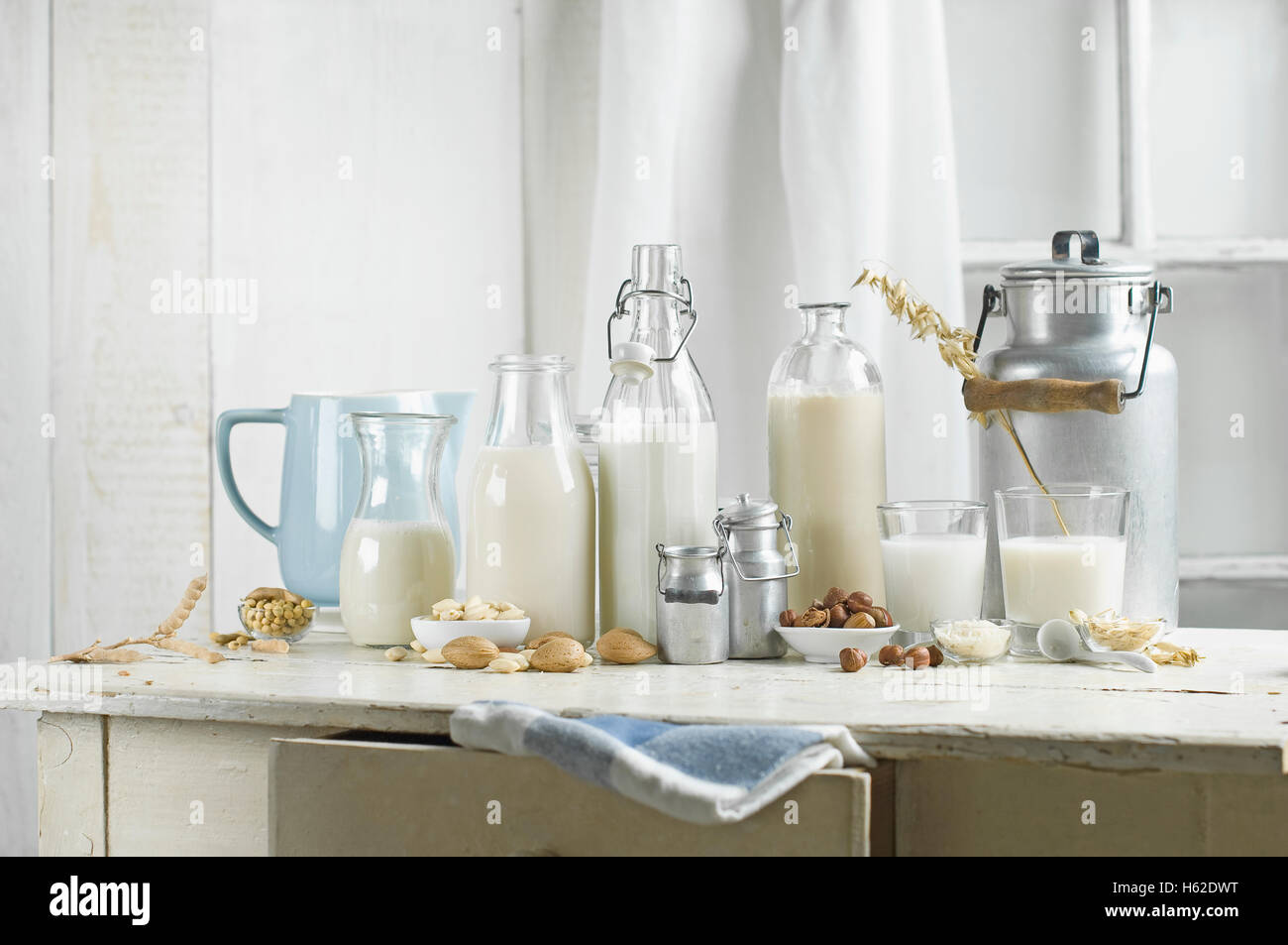 Vegane Milch, Sojamilch, Mandelmilch, laktosefrei, Haselnuss Milch, Reismilch, Eiche Stockfoto