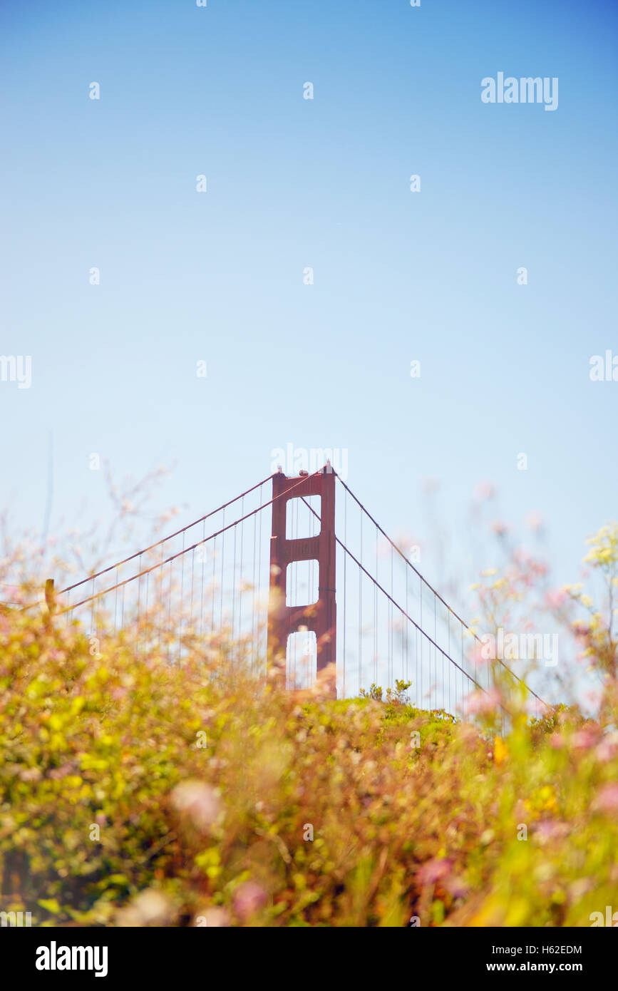 USA, Kalifornien, San Francisco, Säule der Golden Gate Bridge hinter Wildblumen Stockfoto