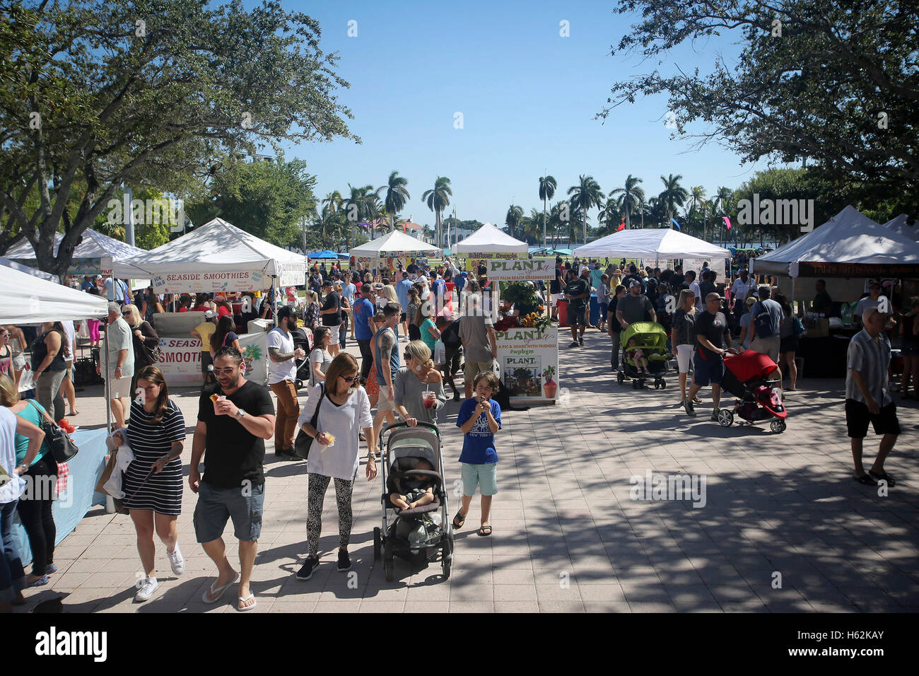 Florida, USA. 22. Oktober 2016. West Palm Beach GreenMarket Samstag, 22. Oktober 2016. © Bruce R. Bennett/der Palm Beach Post/ZUMA Draht/Alamy Live-Nachrichten Stockfoto