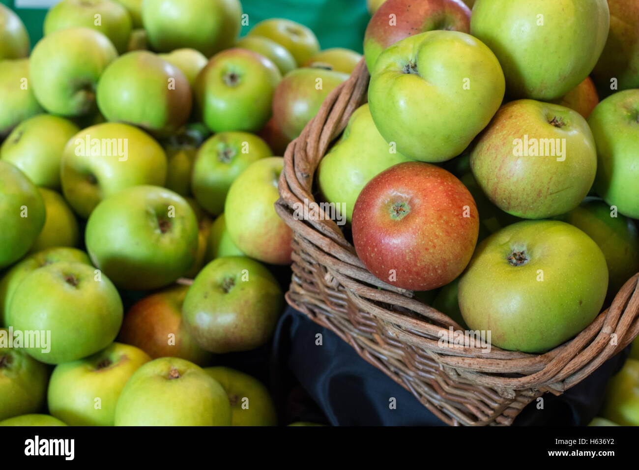 Äpfel auf dem Display in Seite Southwell Minister während der Bramley Apfelfest. Die ersten Bramley Apfelbaum wurde in der Nähe angebaut. Stockfoto