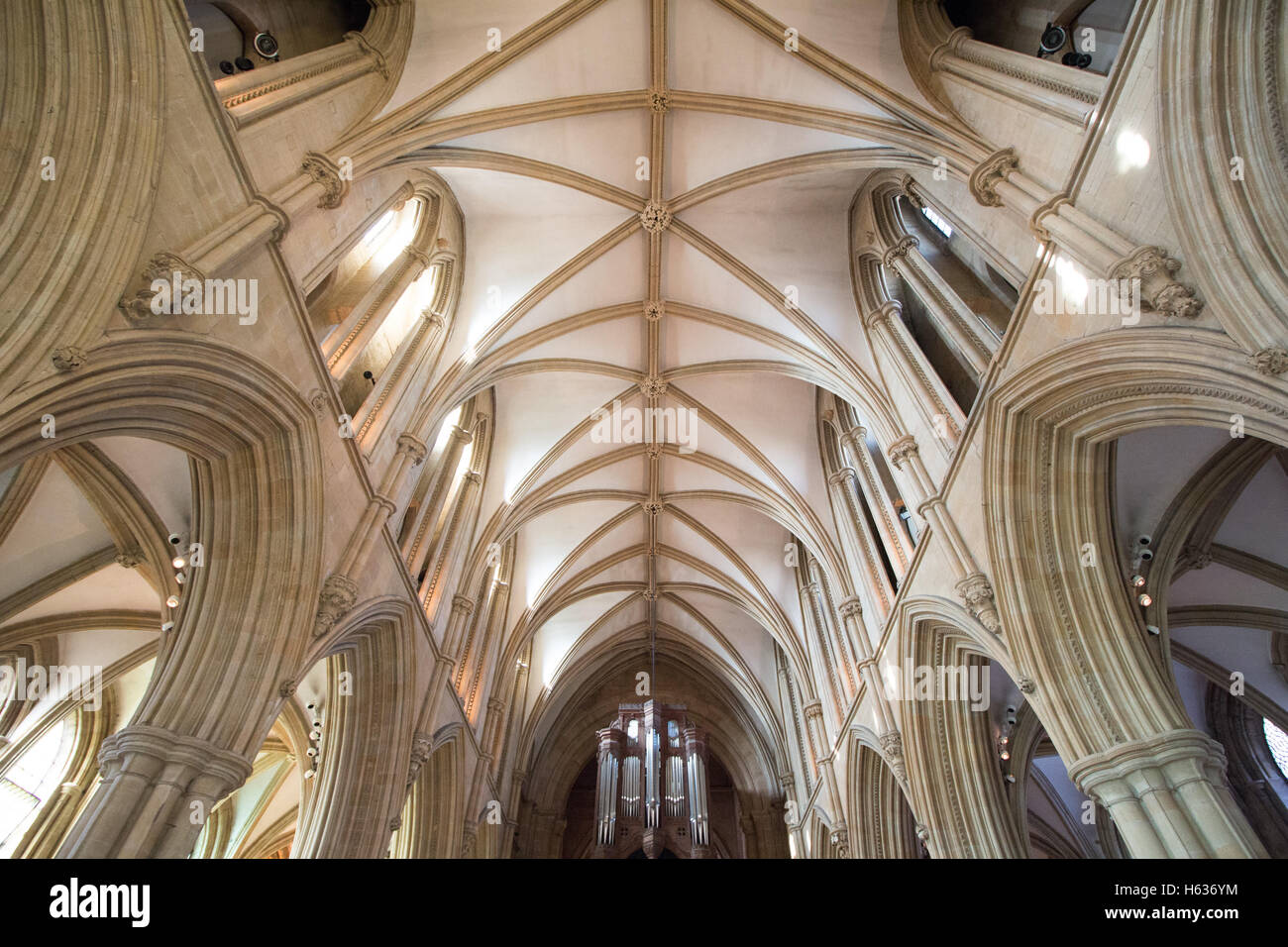 Die Decke und Innenraum von Southwell Minister. Stockfoto