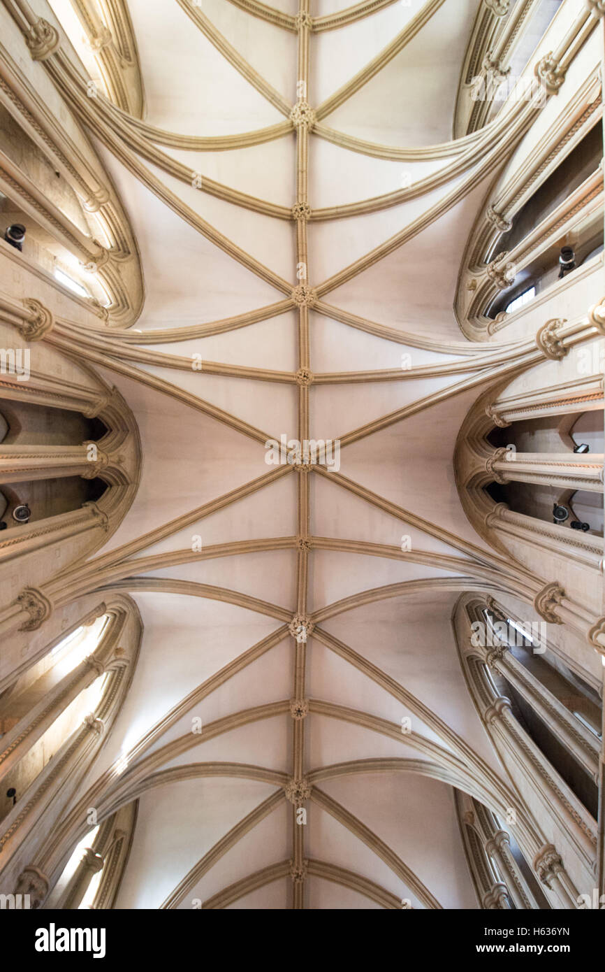 Die Decke und Innenraum von Southwell Minister. Stockfoto