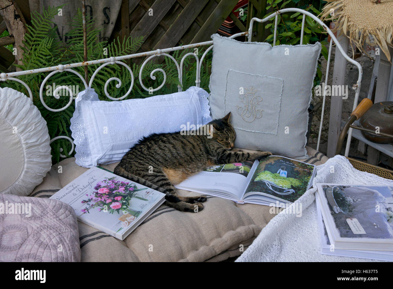 Katze Nickerchen auf außen Metall Tagesbett im Sommergarten Stockfoto