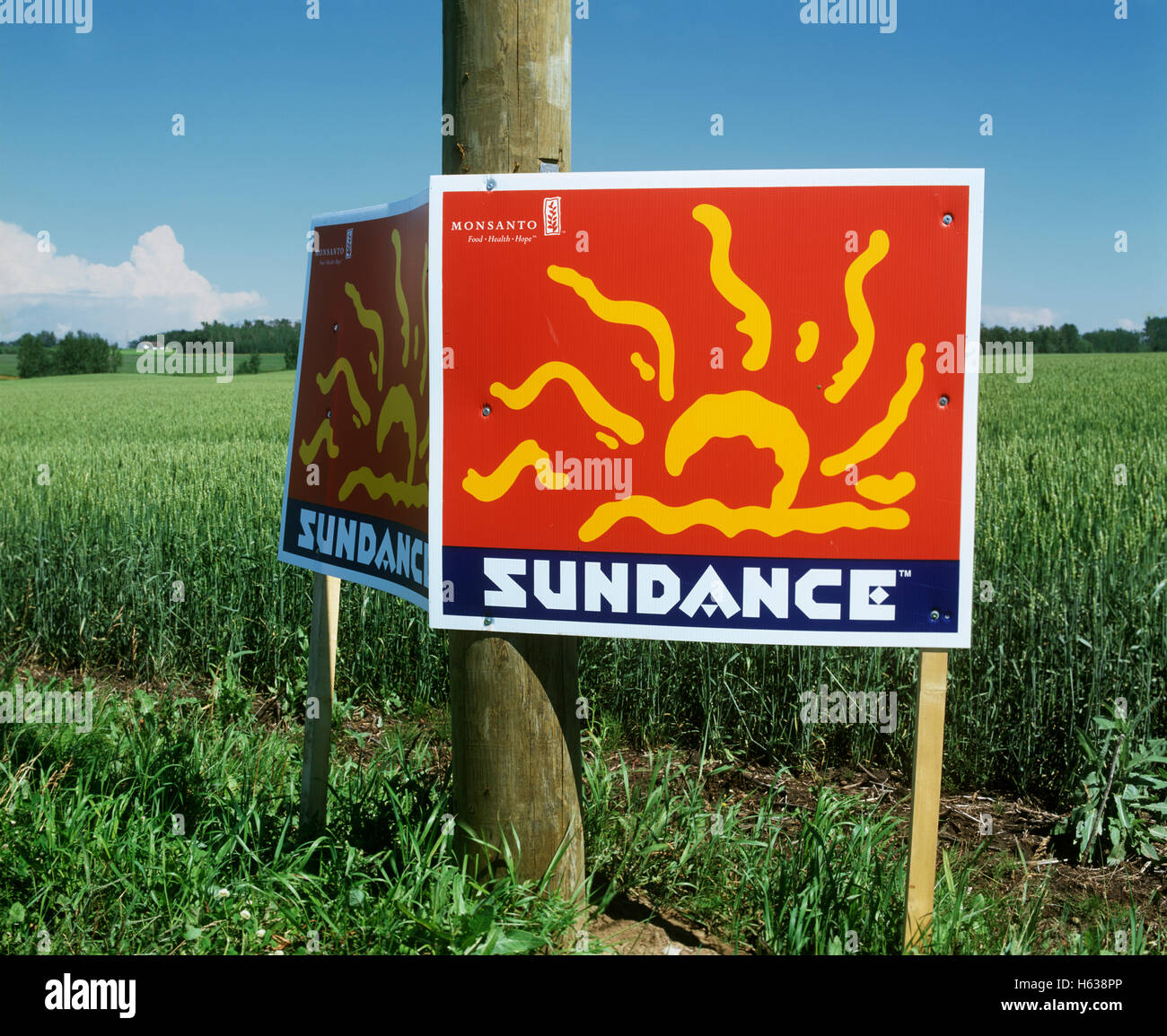 Melden Sie Werbung Monsantos Herbizid "Sundance" neben einem Feld von Weizen, Alberta, Kanada. Stockfoto