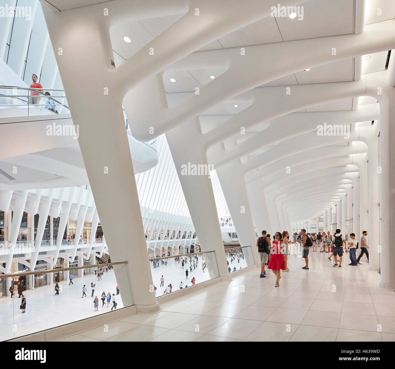 Kathedralenartigen Transit Halle Interieur vom Korridor aus gesehen. Das Oculus, World Trade Center Transportation Hub, New York, Vereinigte Staaten. Architekt: Santiago Calatrava, 2016. Stockfoto
