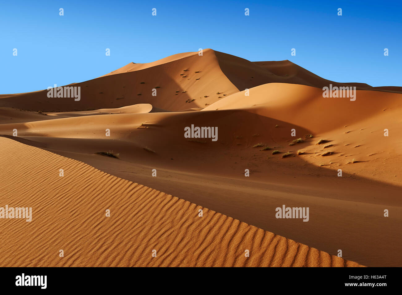 Sahara-Sand-Dünen von Erg Chebbi, Merzouga, Marokko, Afrika Stockfoto