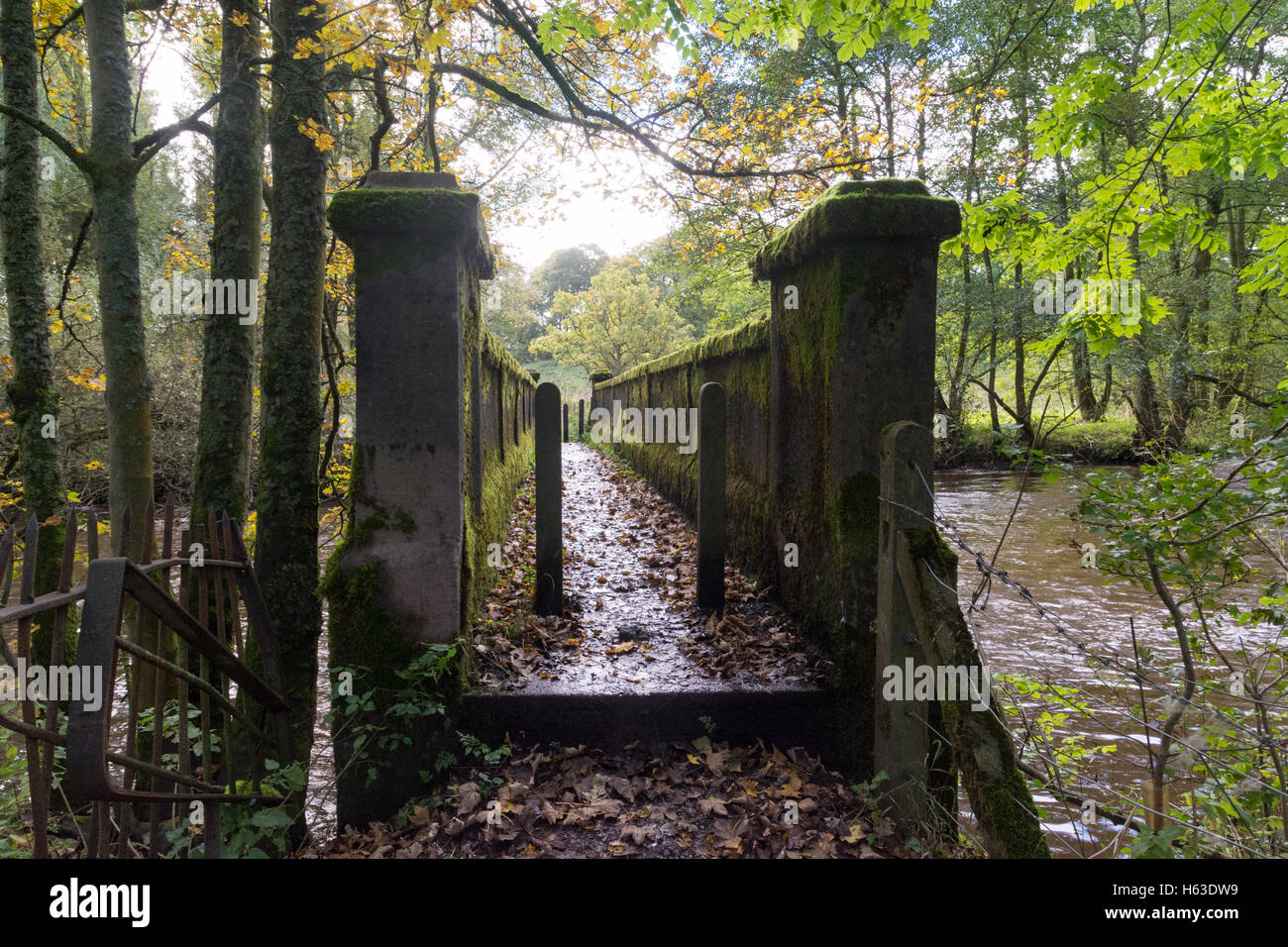 Steinbrücke über den Fluss Wye im Peak District National Park in der Nähe von Bakewell, Derbyshire, UK. Stockfoto