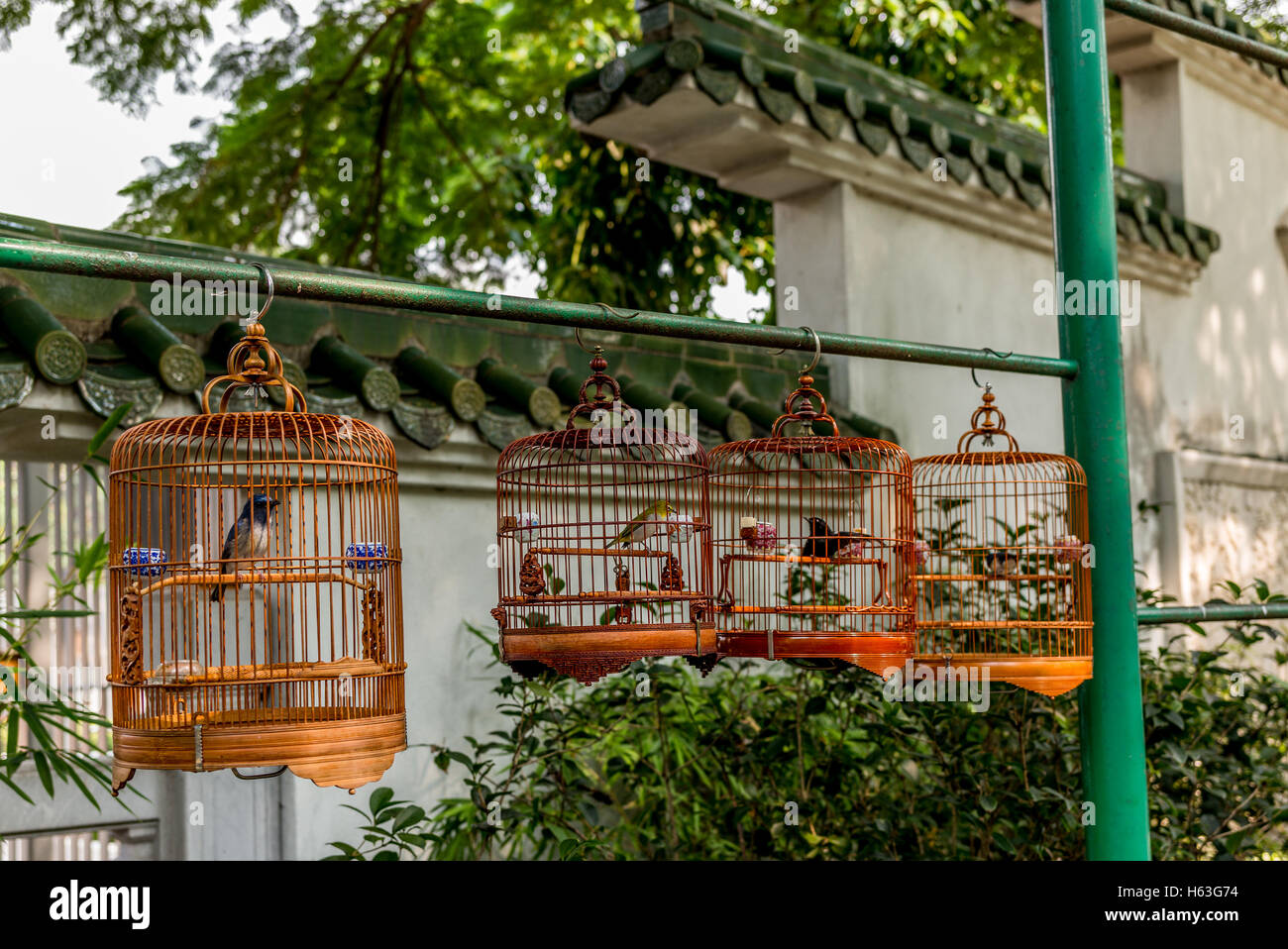 Vögel in Käfigen hängen an der Bird Garden und Markt in der Yuen Po Street in Hongkong - 2 Stockfoto