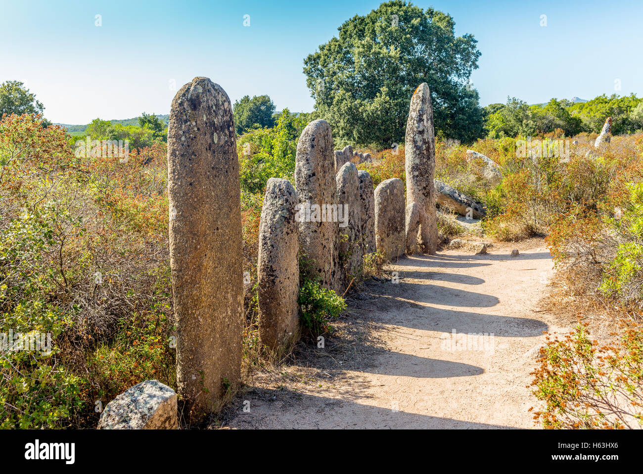 Verlassene und vergessene prähistorische Stätte in den Hügeln von Corsica - 1 Stockfoto