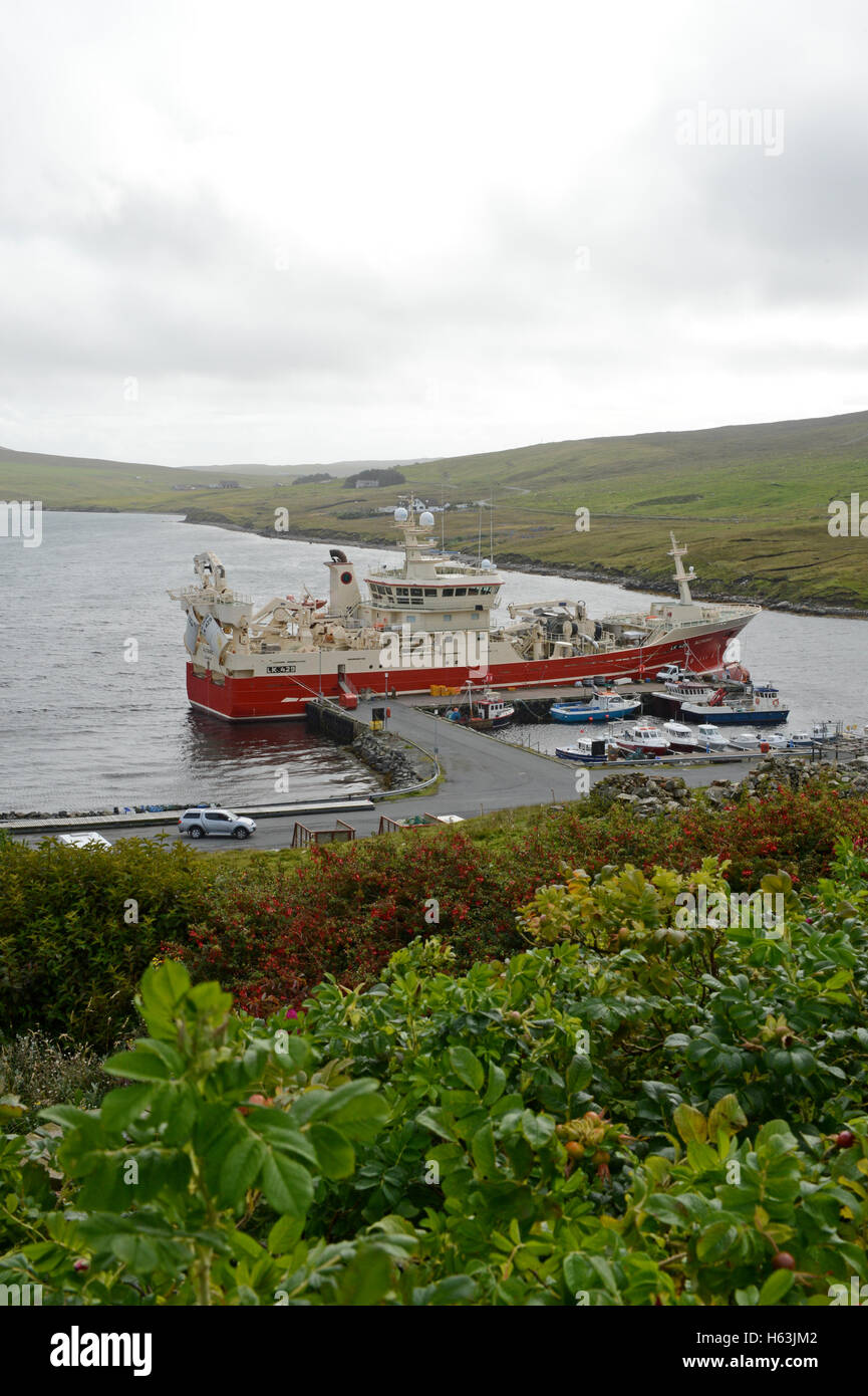Altaire pelagischen Fischerboot auf dem Collafirth Pier im Norden Shetland eines Shetland-Fischereiflotte im Besitz von Einheimischen. Stockfoto