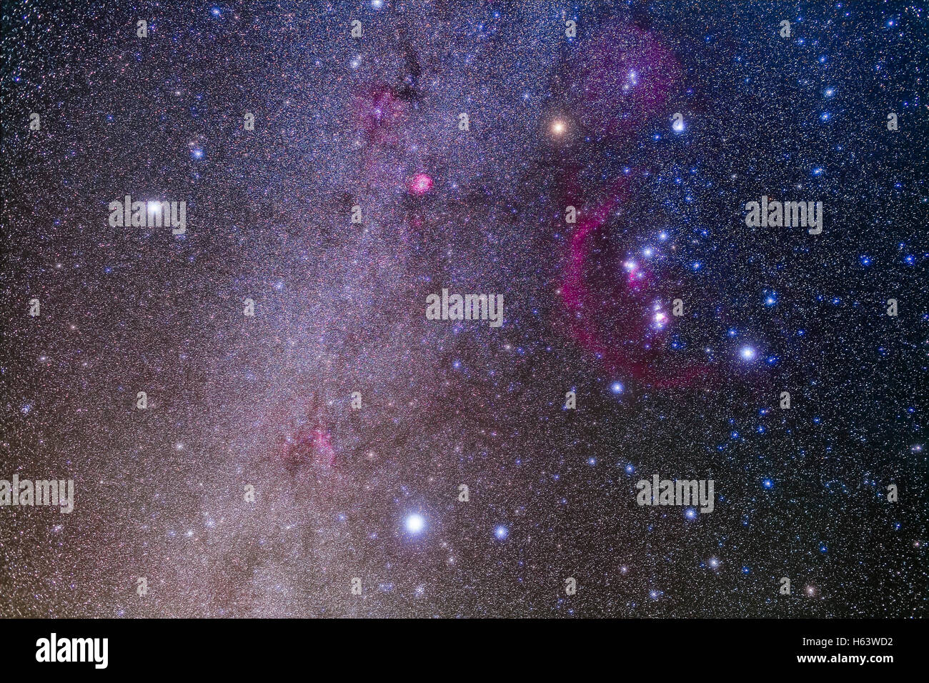 Orion und seinem Hund Sterne, Sirius (unten) und Procyon (links), Canis  Major und Canis Minor. Viele rote Nebel sind auch sichtbar ich  Stockfotografie - Alamy