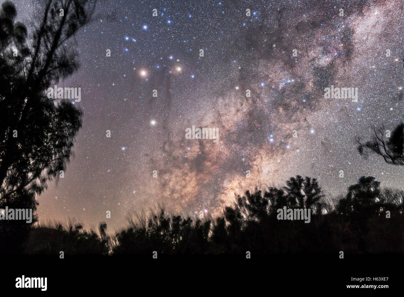 Scorpius kurz nach Monduntergang in einem verdunkelten Himmel steigen, wie es auf die Seite von Australiens südlichen Breitengrad kommt. Mars ist der Stockfoto