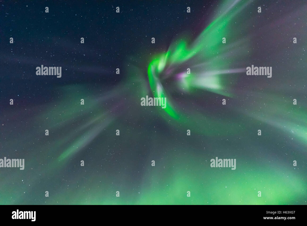 Eine hervorragende Darstellung der Aurora Borealis gesehen am 14. März 2016 wenn es Level 5 Sturm Ausmaße angenommen. Während der Teilsturms über Stockfoto