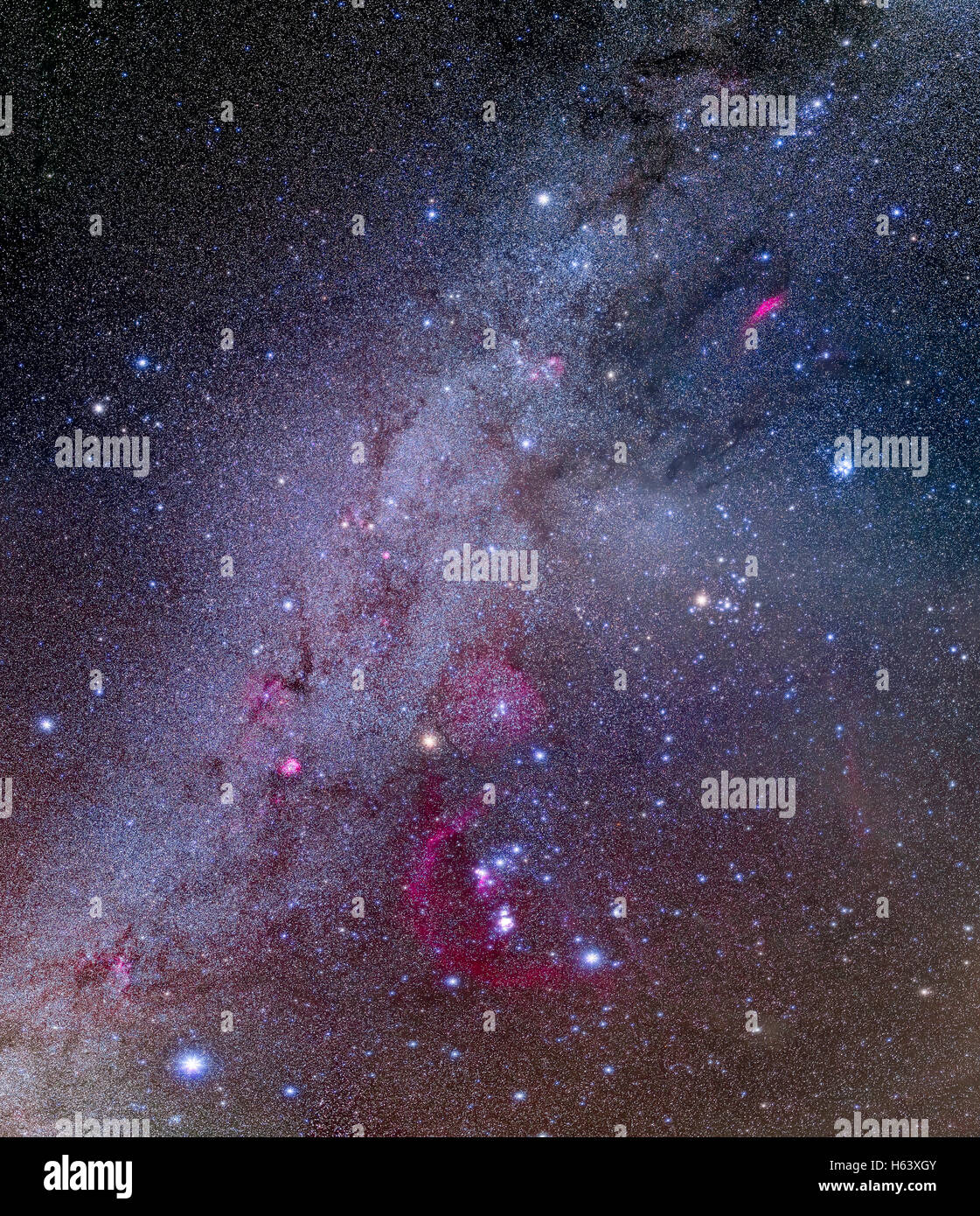 Ein Mosaik aus den nördlichen Winter Milky Way und brillante Sterne und Sternbilder im und um den Jäger Orion. Die Milchstraße-e Stockfoto
