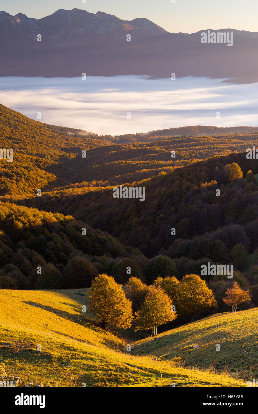 Blick vom Pizzoc Berg. Das Canisglio Plateau mit dem Buchenwald. Sonnenaufgang Sonnenlicht mit Flut von Wolken über der Ebene. Herbstsaison. Italien. Stockfoto