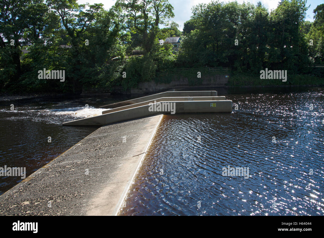 Wehr und Fisch pass auf dem Fluss Tees in Barnard Castle County Durham, England Stockfoto