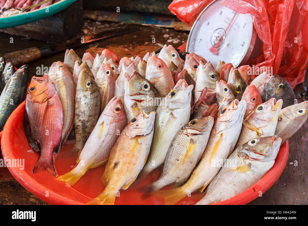 Fische in einem Markt. Stockfoto