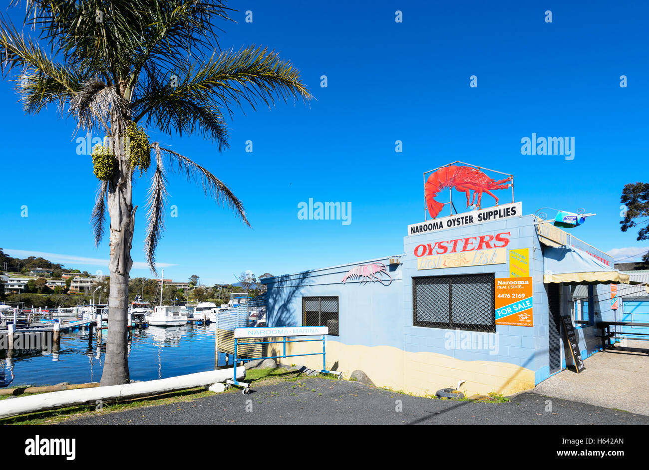 Austern Shop und Restaurant in Narooma, New South Wales, NSW, Australien Stockfoto