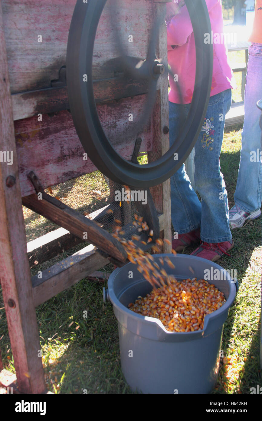 Alte manuelle Mais-Scheller-Maschine, die Maiskolben Maissamen entzieht  Stockfotografie - Alamy