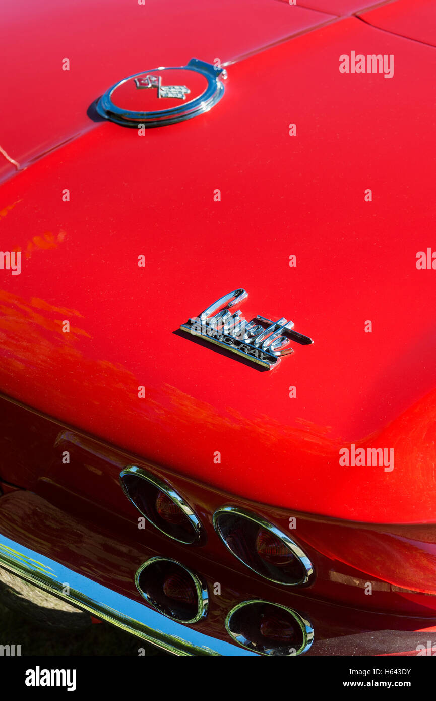 Sechziger Jahre Chevrolet Corvette Stingray hinteren abstrakt. Amerikanische Sportwagen-Klassiker Stockfoto