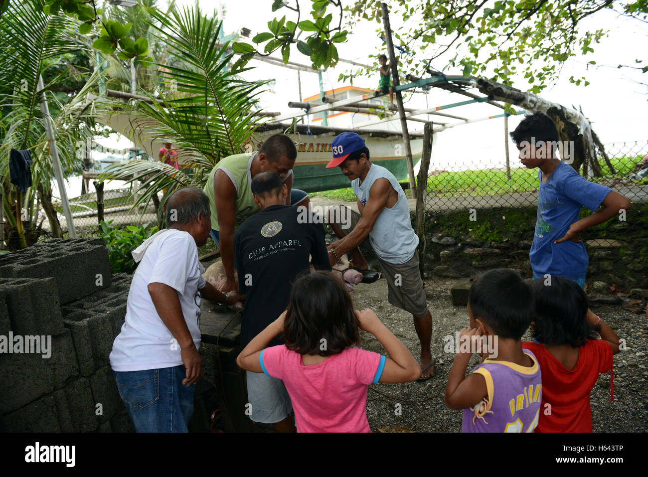 Kinder blockieren ihr Gehör, wie als Vorbereitung für ein ganzes Schwein braten (Lechon Baboy) auf den Philippinen ein Schwein geschlachtet wird. Stockfoto