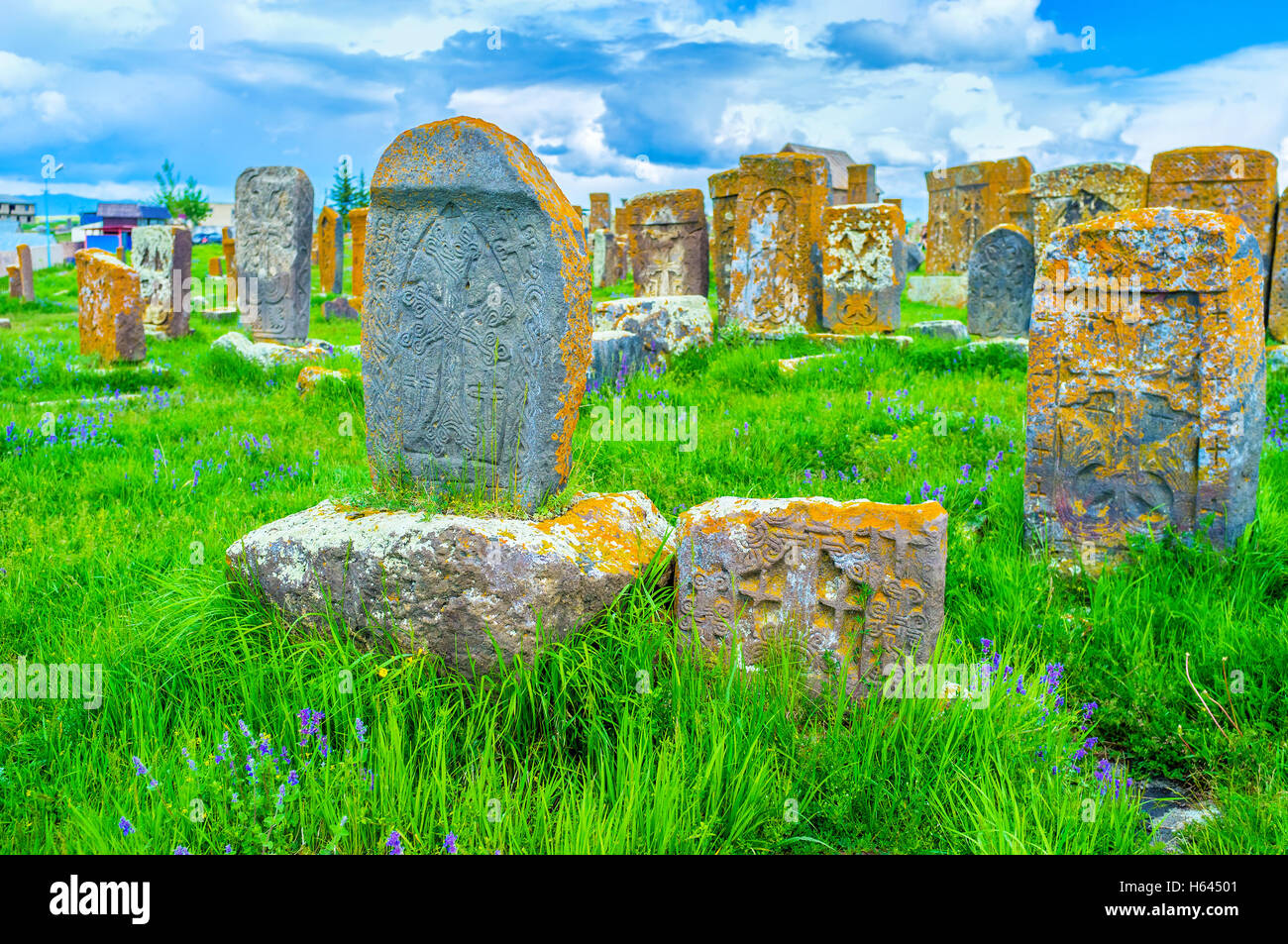 Die alten Khachkars auf Noratus Friedhof, umgeben durch hohe Gräser und Wildblumen, Provinz Gegharkunik, Armenien. Stockfoto