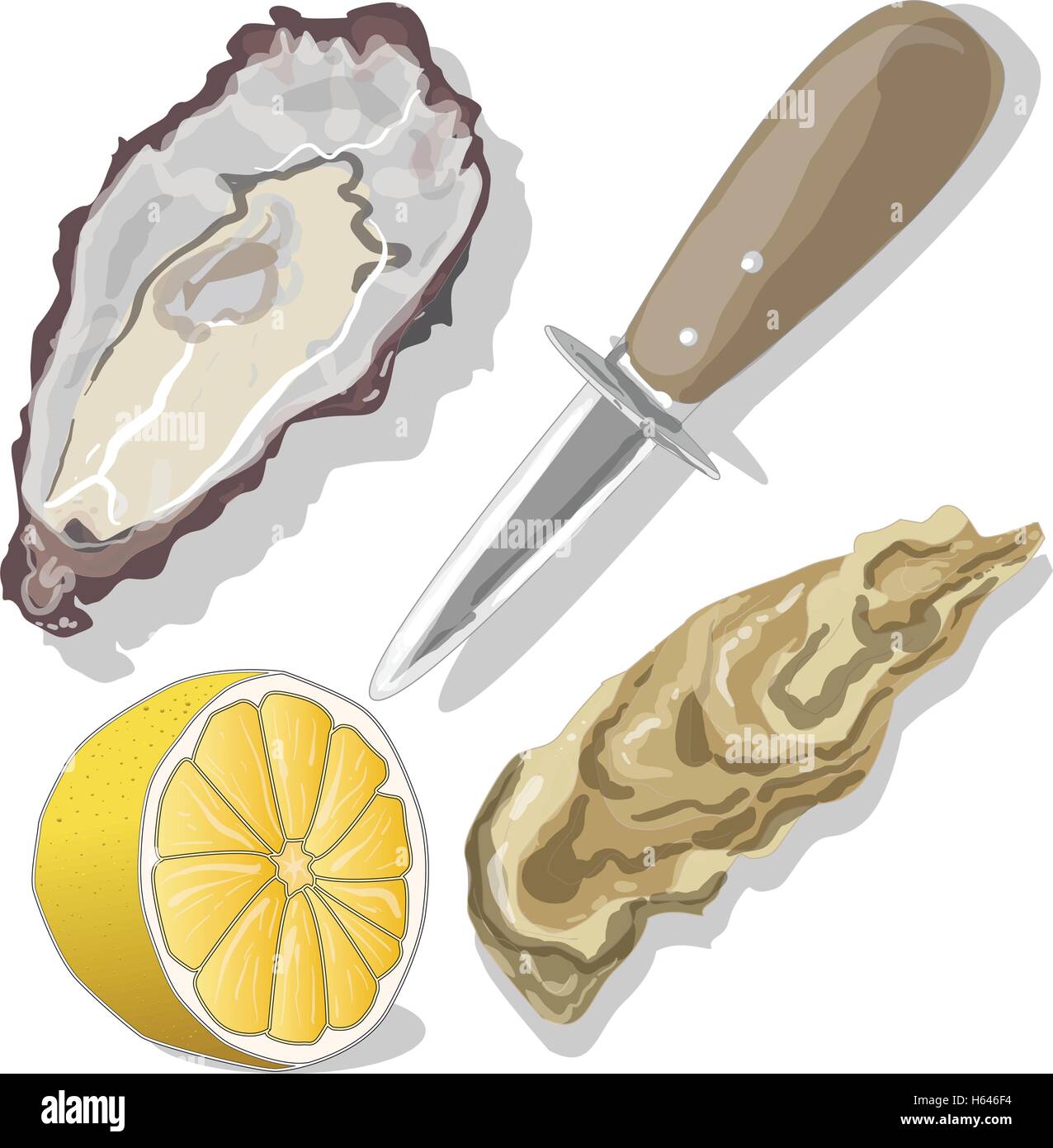 Ausgelöster Austern mit Zitrone auf Whight Hintergrund Stock Vektor