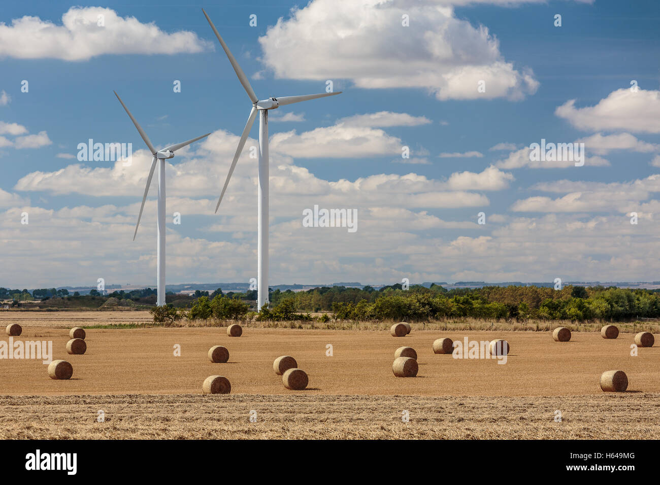 Die September-Ernte bei Lissett Windpark East Yorkshire Stockfoto