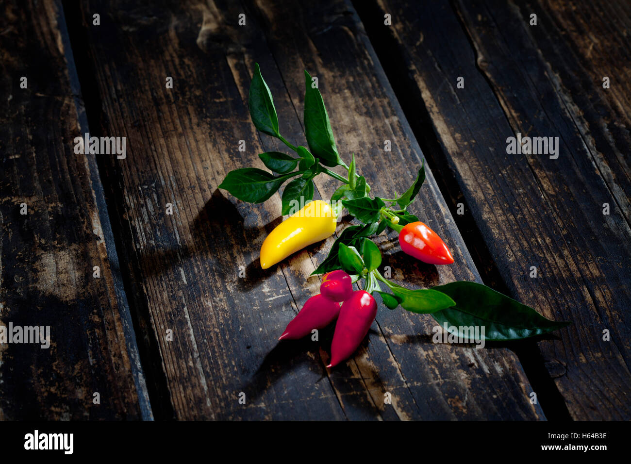 Rote und gelbe Paprika auf Holz Stockfoto