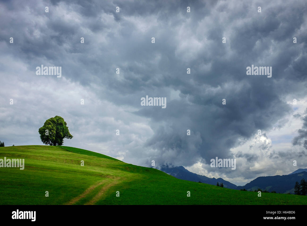 Deutschland, Bayern, Wittelsbacher Hoehe Stockfoto