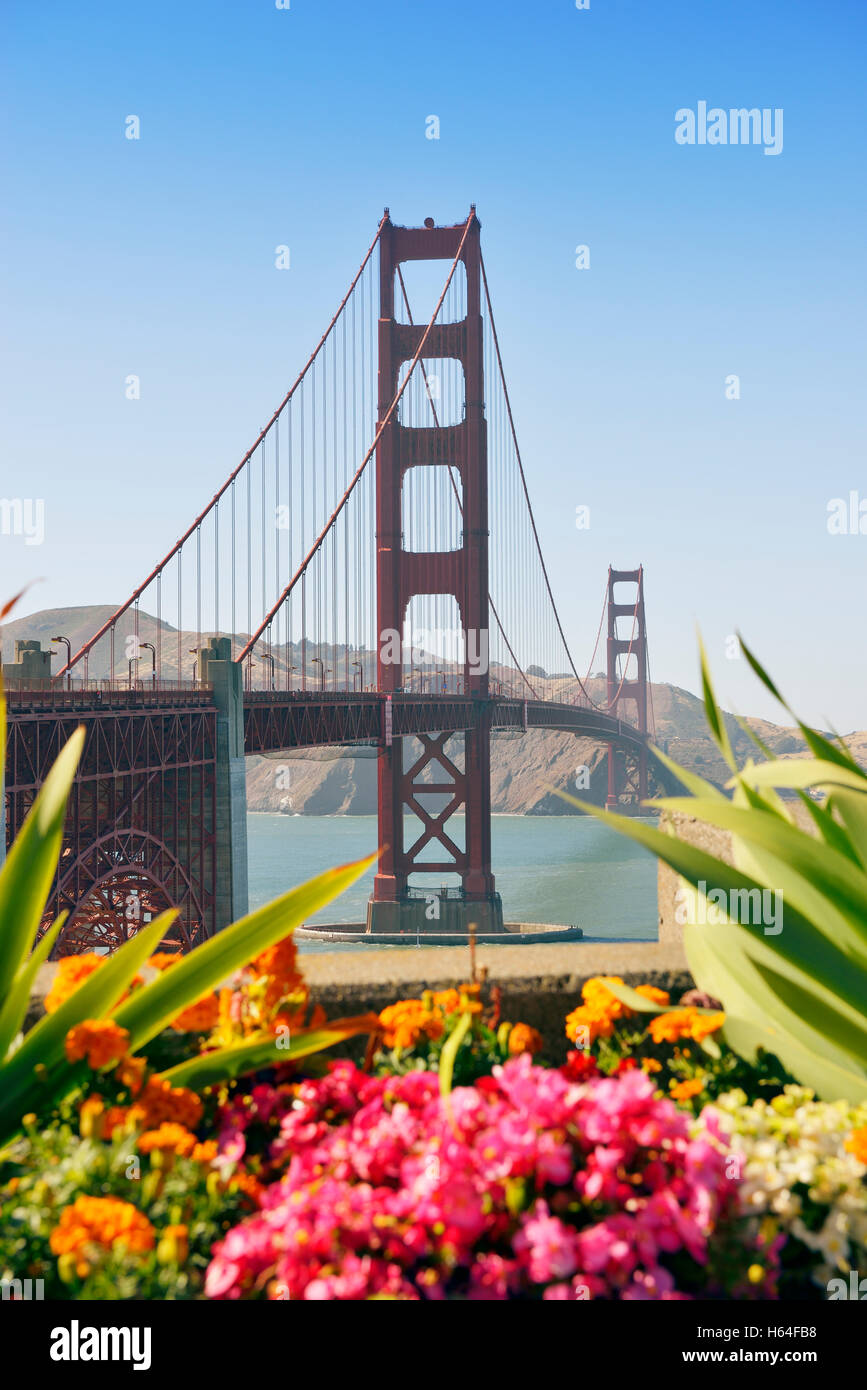 USA, Kalifornien, San Francisco, Golden Gate Bridge hinter Blumen Stockfoto
