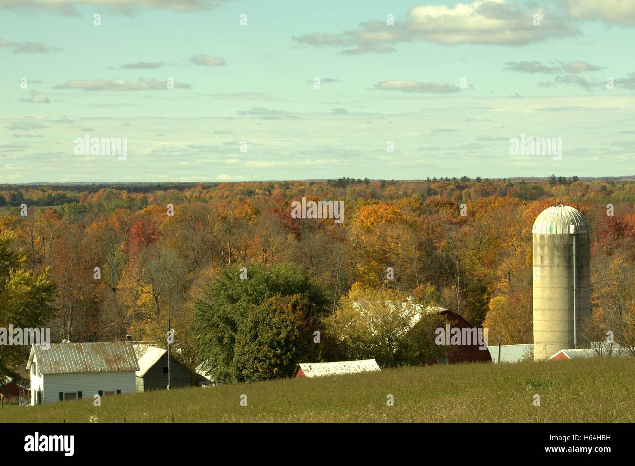 Mit Blick auf einen Bauernhof aus 7 Mile Hill im Herbst, Missaukee County, Michigan, USA Stockfoto