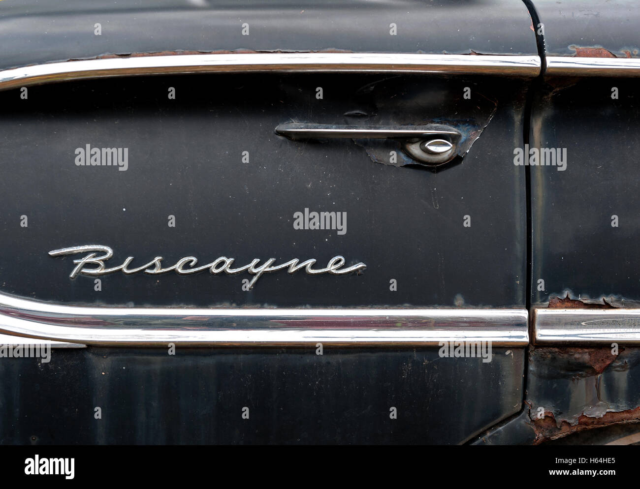 Biscayne detail Stockfoto