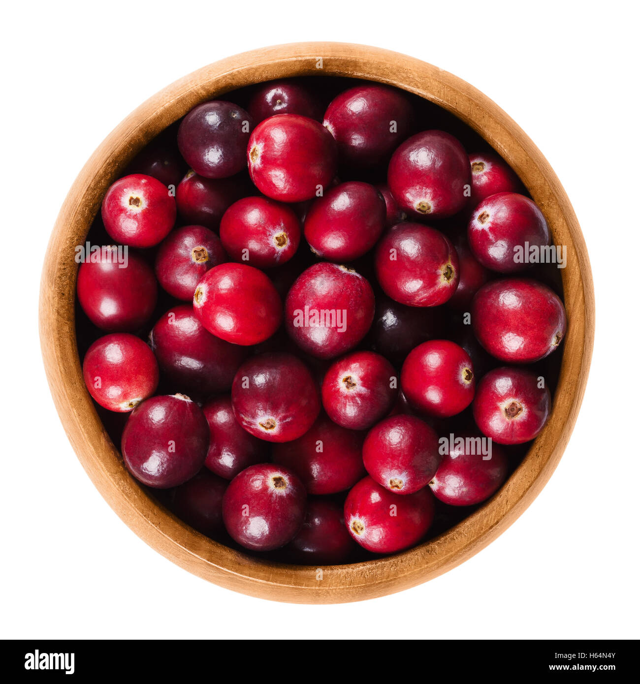 Frische Cranberries in einer Holzschale auf weißem Hintergrund. Reifen Beeren von Vaccinium Macrocarpon, auch große Moosbeere. Stockfoto